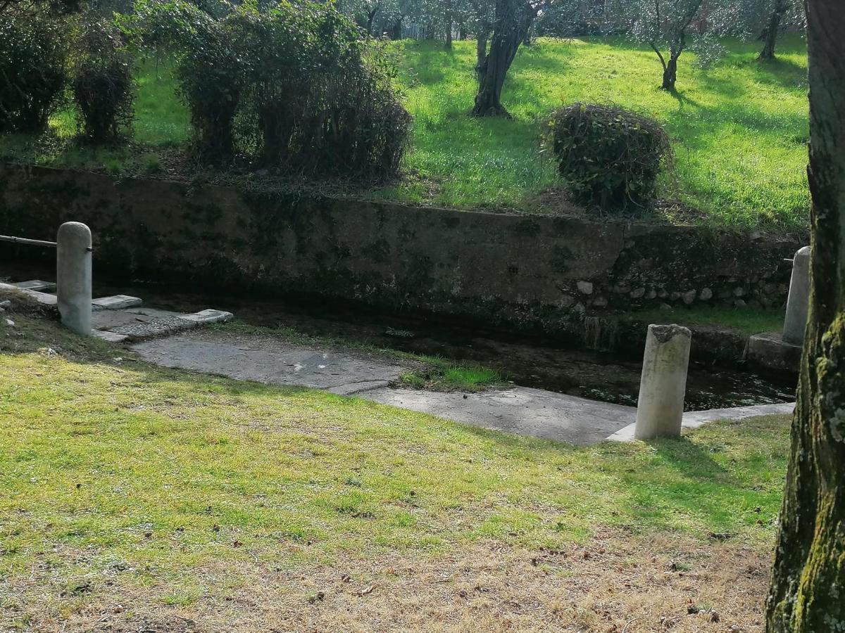 Bilocale Papavero, Magnolia O Girasole San Felice del Benaco Bagian luar foto